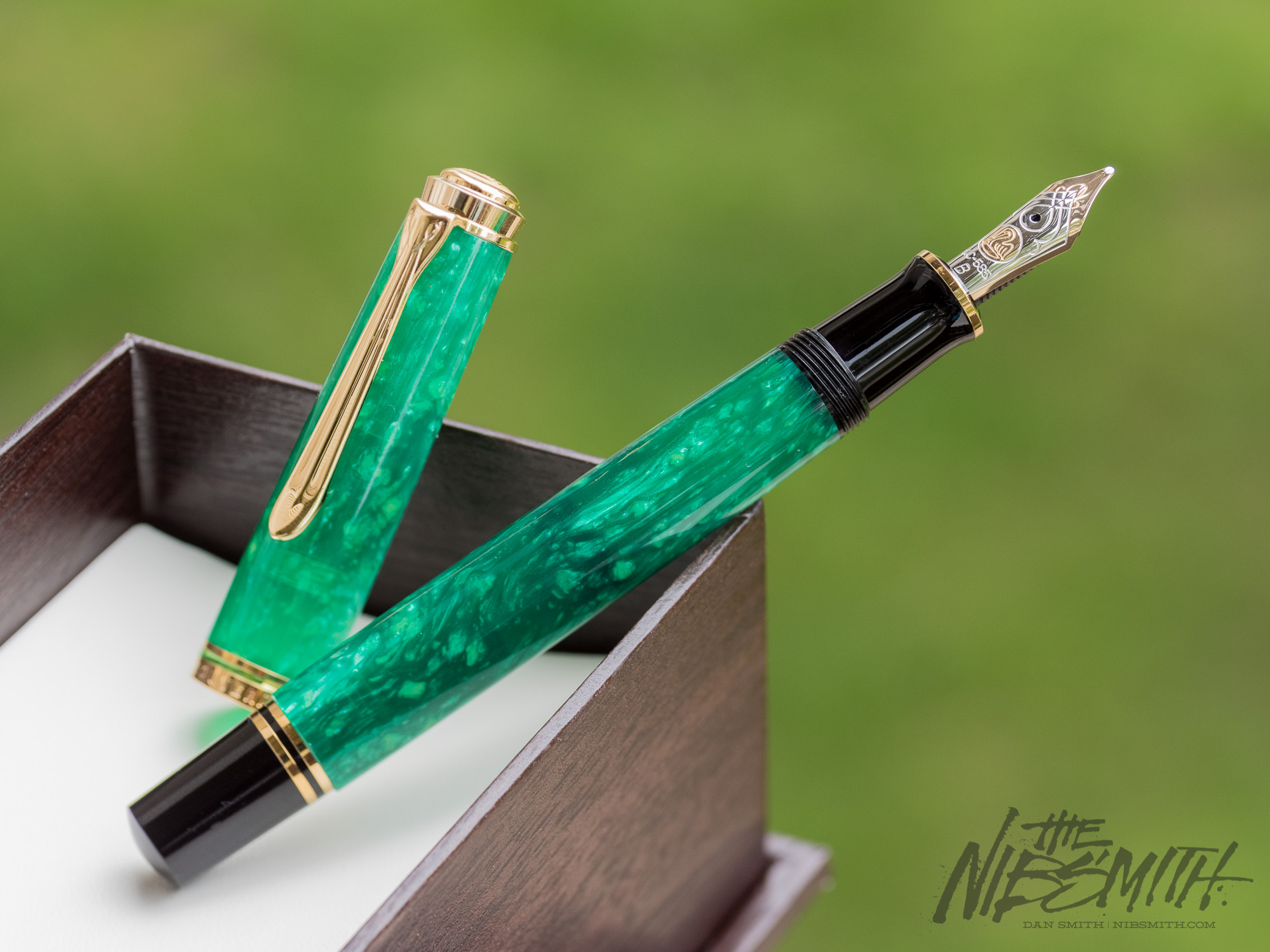 Pelikan Classic M600 Special Edition Fountain Pen – Vibrant Green – The ...