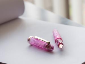platinum_3776_century_nice_lilas_fountain_pen-21