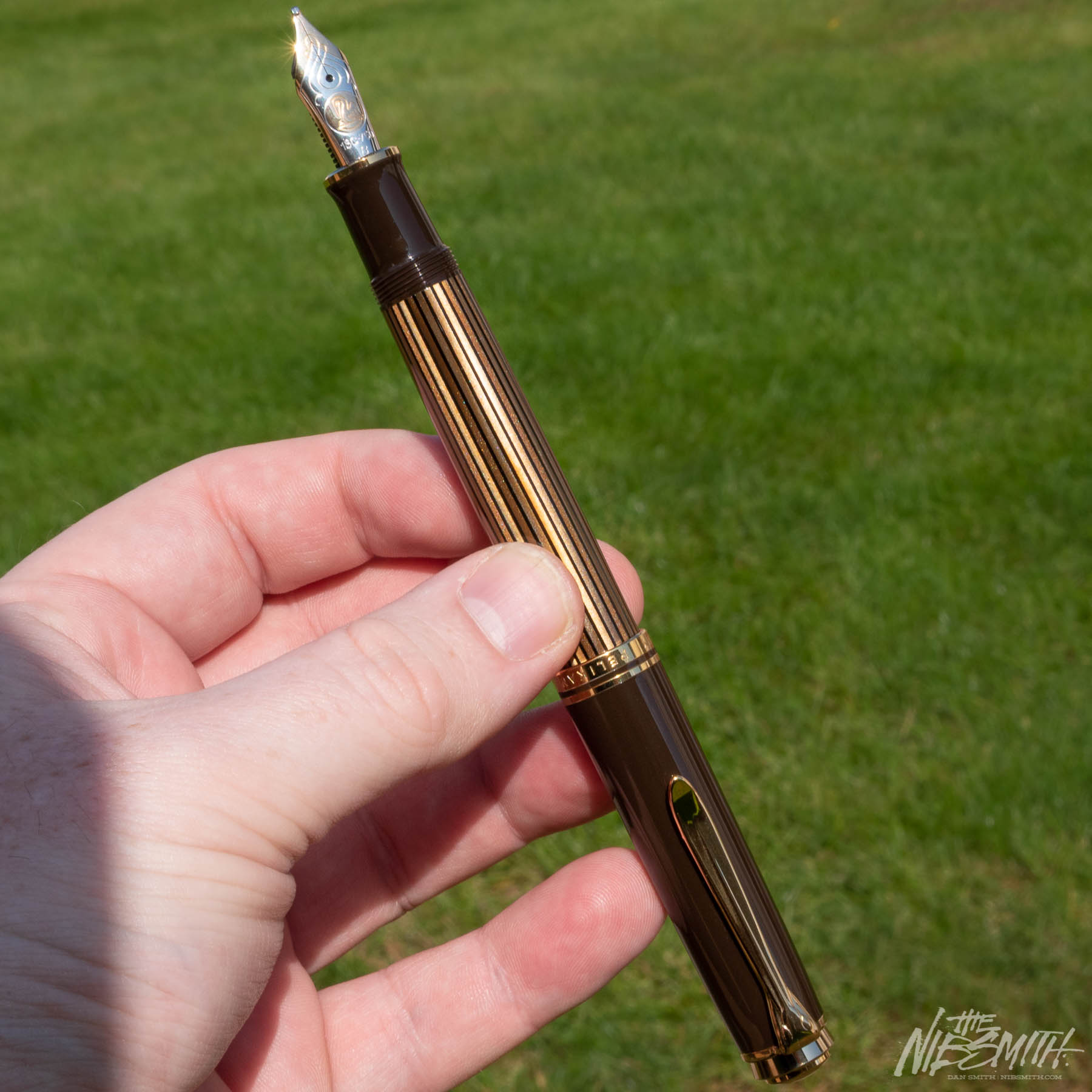 Pelikan M800 Brown Stripe Special Edition Fountain Pen The Nibsmith