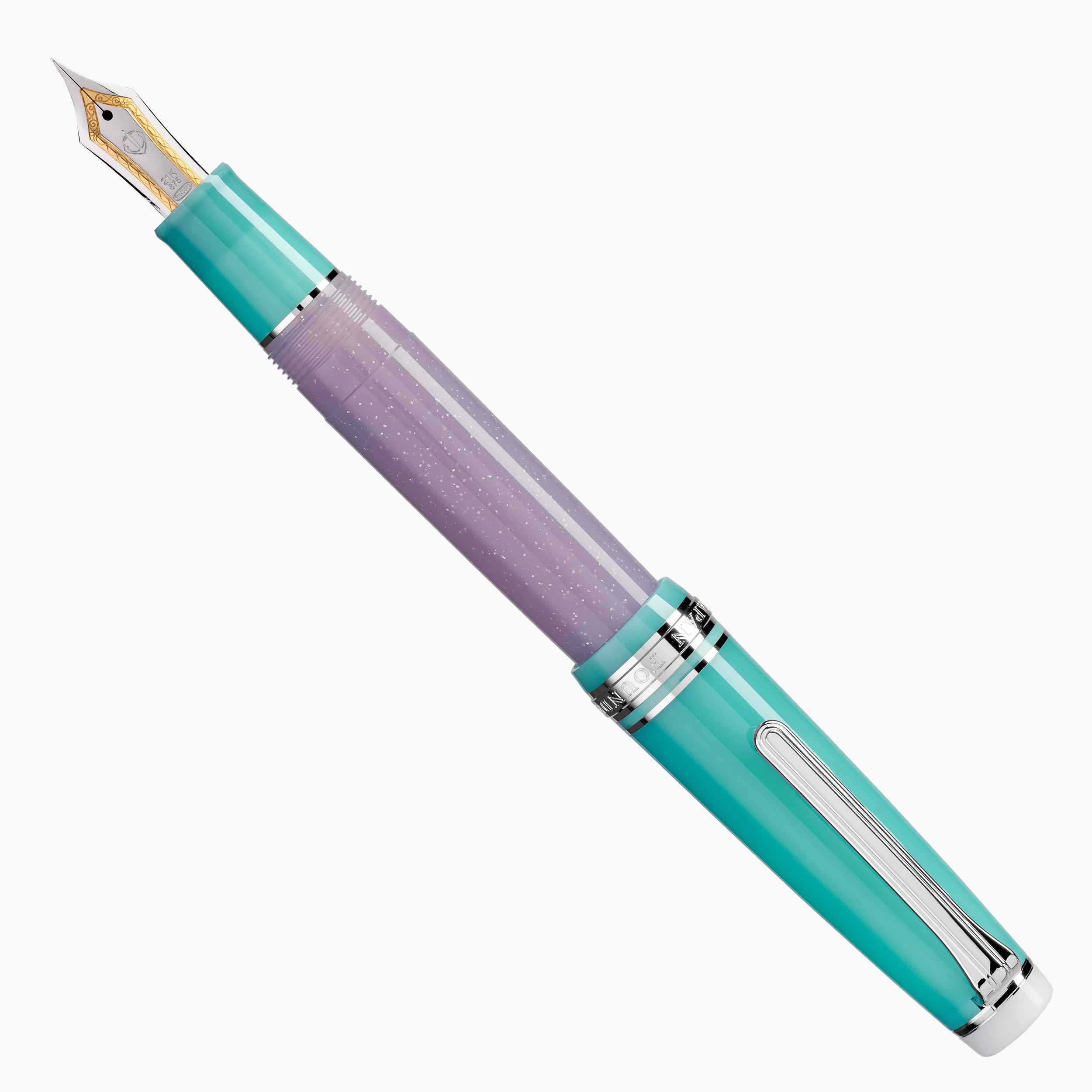 Pelikan Classic P205 Cartridge Fountain Pen – The Nibsmith