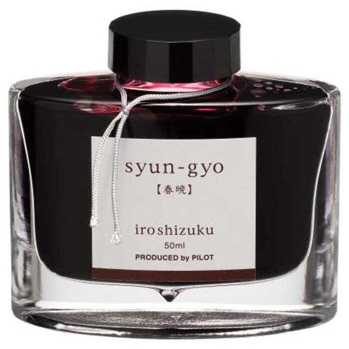 Pilot-Iroshizuku-Syun-gyo-fountain-pen-Ink-nibsmith